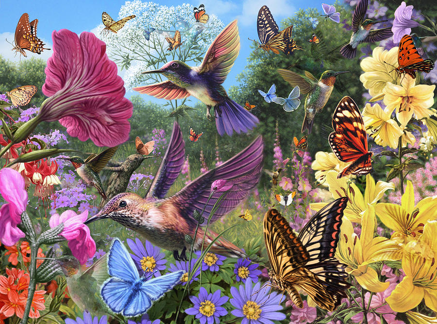 Animal Photograph - The Hummingbird Garden by MGL Meiklejohn Graphics Licensing