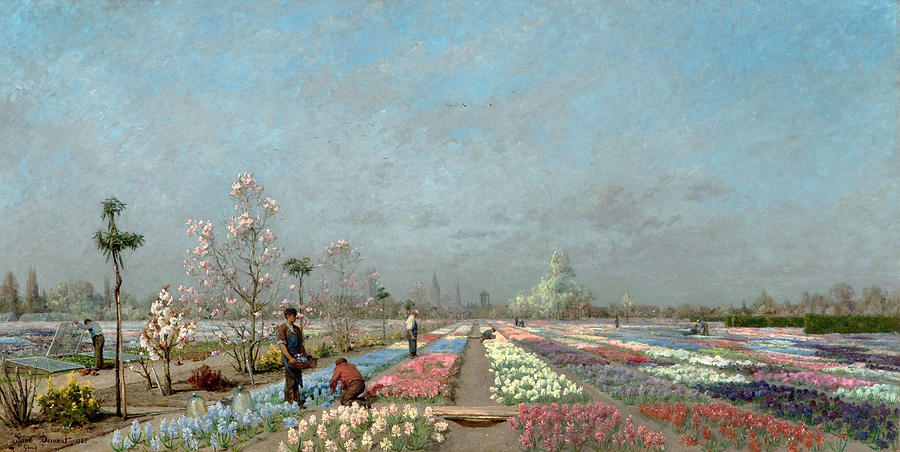 Flower Painting - The Hyacinth Fields In Bloom At The Van by Adrien Louis Demont