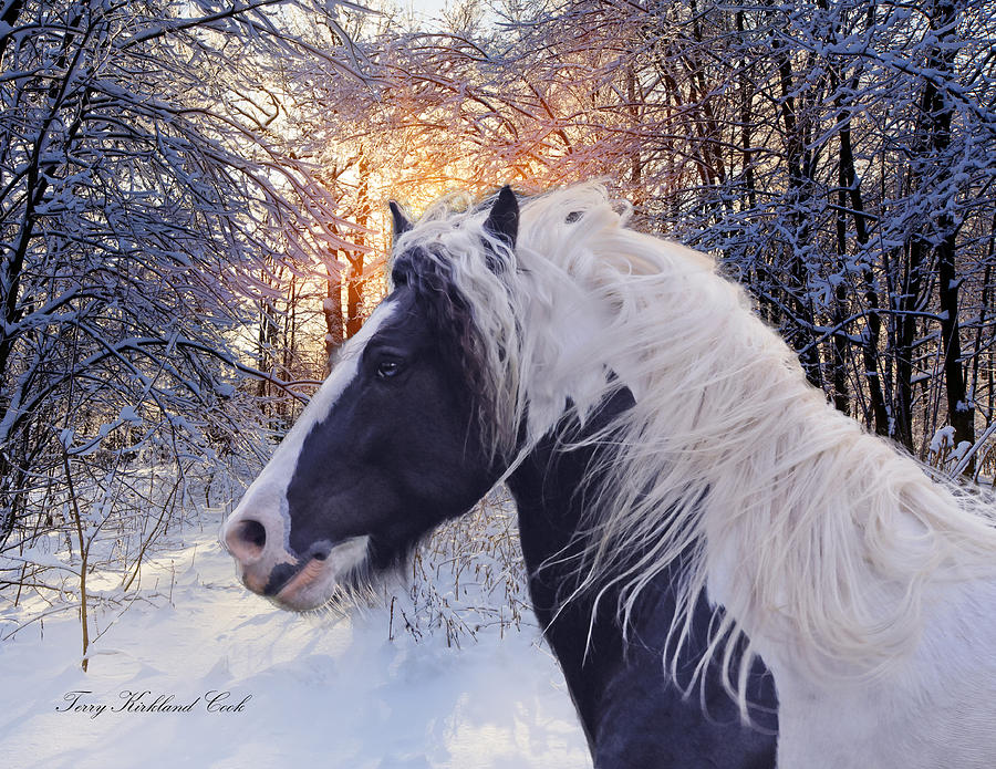 The Ice Blue Winter Digital Art by Terry Kirkland Cook