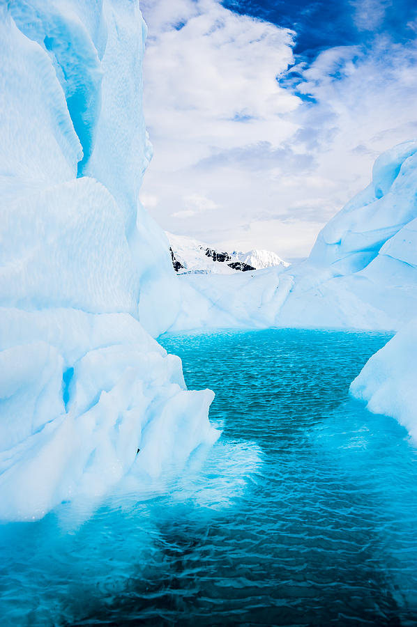 The Iceberg Lagoon - Antarctica Iceberg Photograph Photograph by Duane Miller