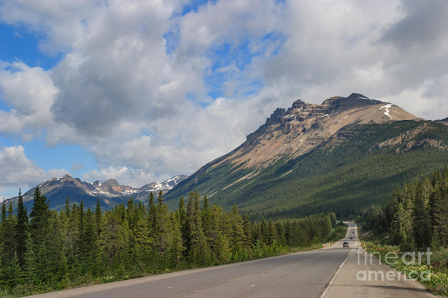 Wildlife Photograph - The Icefields Parkway by Charles Kozierok