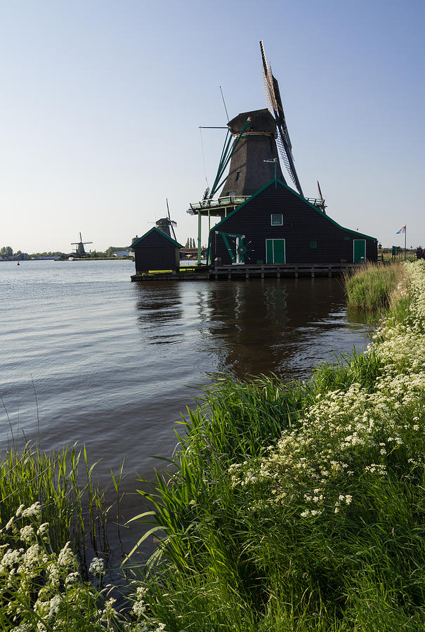 The Iconic Windmills of  Holland  Photograph by Georgia Mizuleva