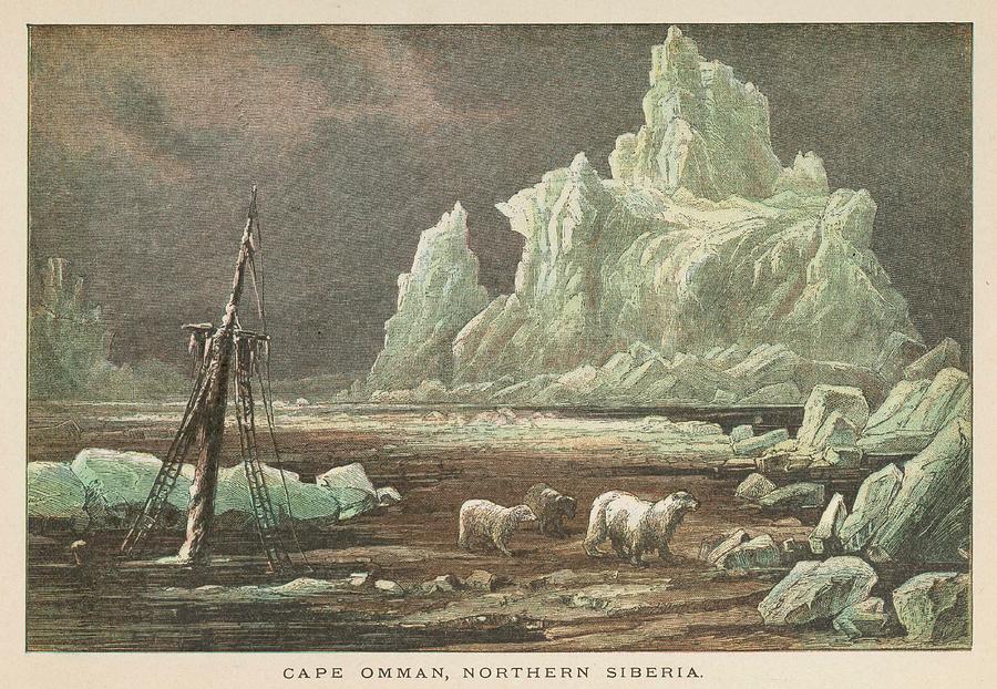 Bear Drawing - The Icy Coast At Cape Omman, Northern by Mary Evans Picture Library