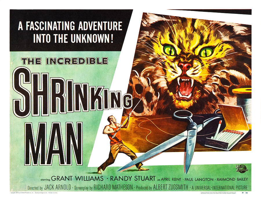 The Incredible Shrinking Man Poster Photograph by Gianfranco Weiss