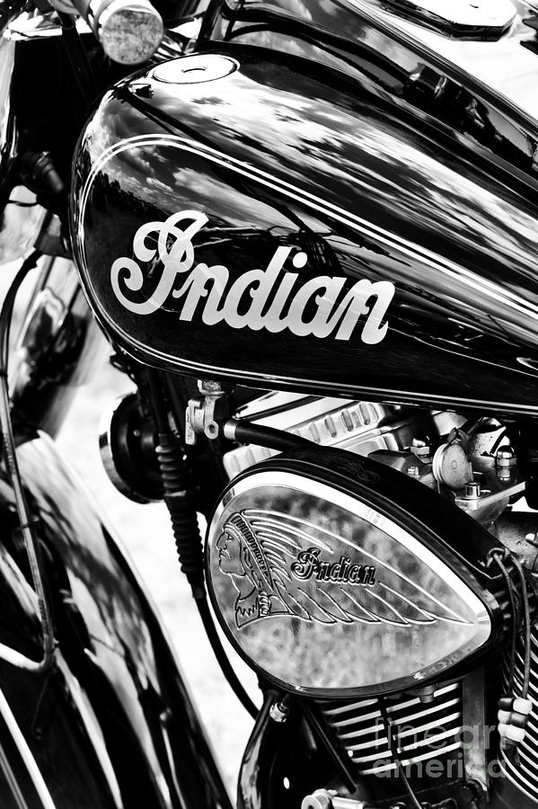 The Indian Chief Photograph by Tim Gainey