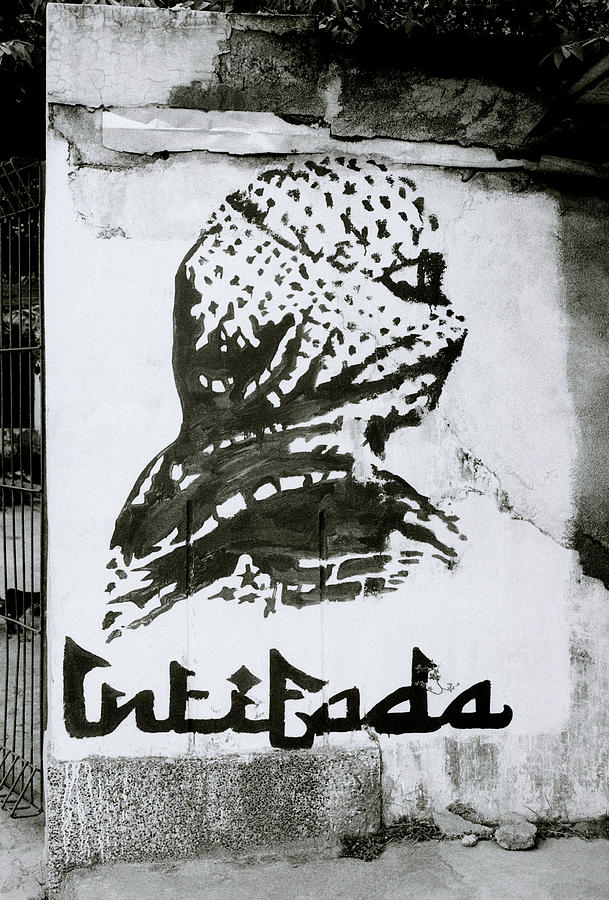 The Intifada  Photograph by Shaun Higson
