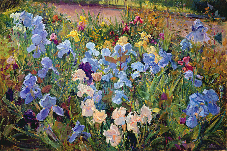 Garden Painting - The Iris Bed by Timothy Easton Garden Painting - The Iris Bed by Timothy Easton