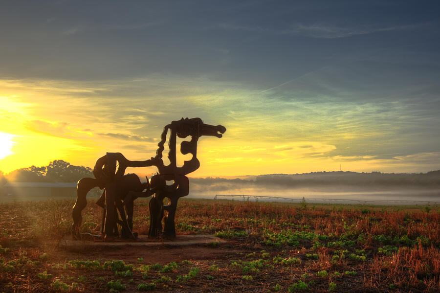 The Iron Horse Sunrise Bottomland UGA Iron Horse Sculpture Farming