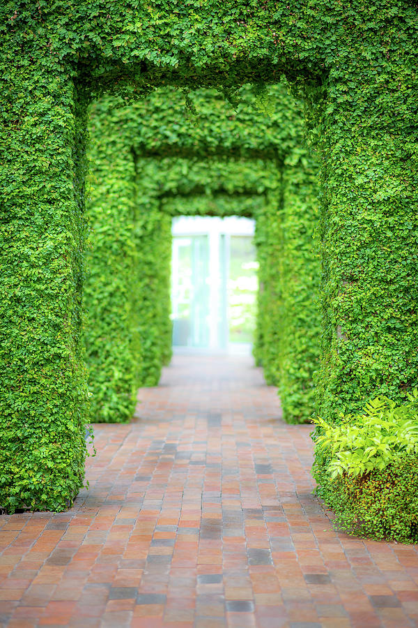 The Ivy Doorways Photograph by Chris Gotz Photography