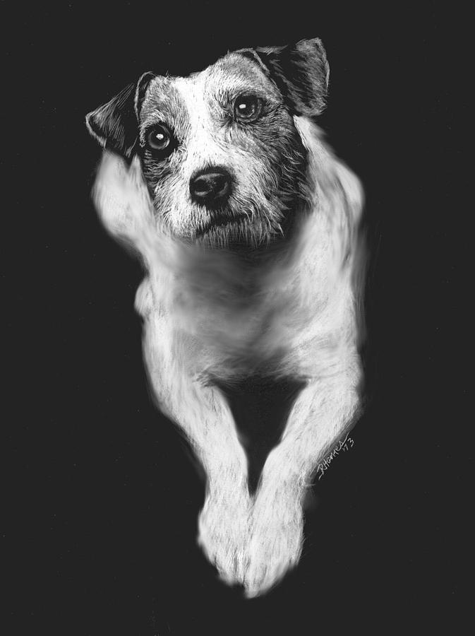 The Jack Russell Stare- Got Ball? Drawing by Rachel Bochnia