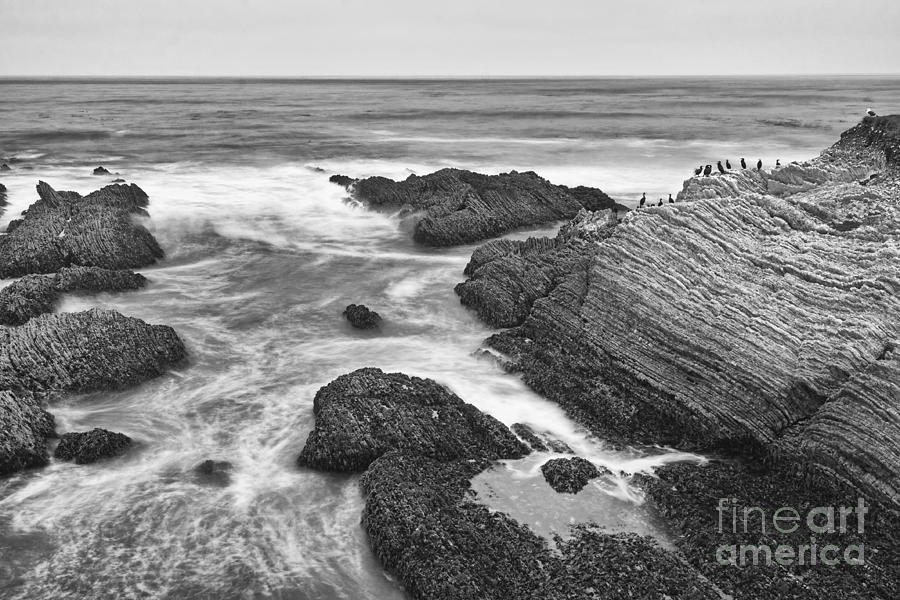 Montana De Oro Photograph - The jagged rocks and cliffs of Montana de Oro State Park in California in Black and White by Jamie Pham