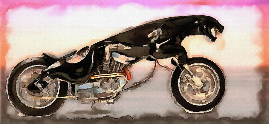 jaguar cycle