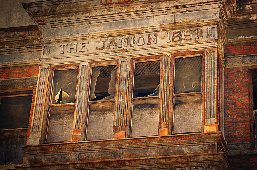 The Janion 1891  Photograph by Maria Angelica Maira