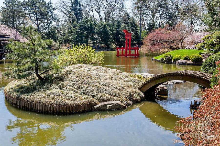 The Japanese Garden Pond Photograph By Nicholas Santasier