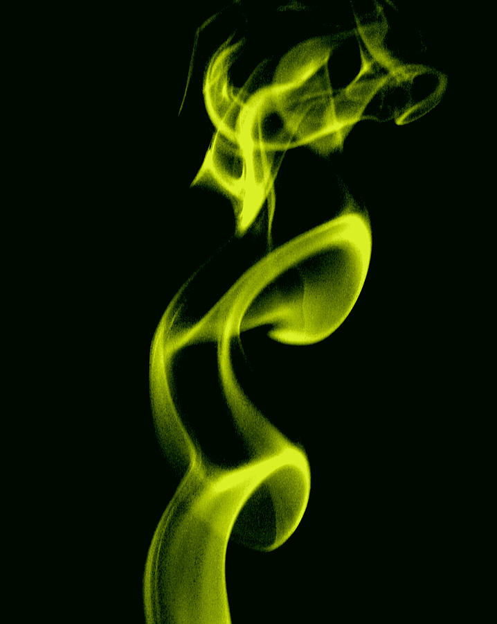 Smoke Mixed Media - The Jester by Carl E McClellan
