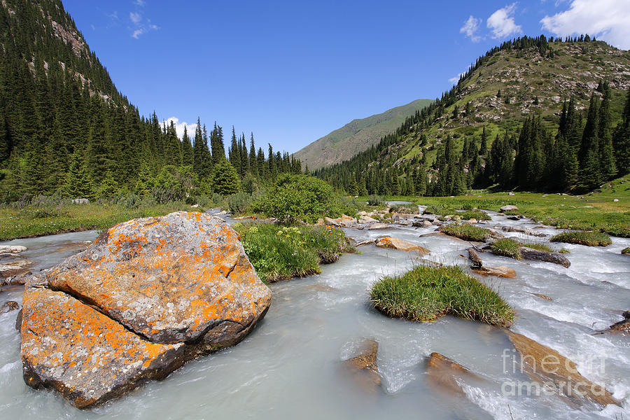 Tree Photograph - The Jeti Oghuz Valley in Kyrgyzstan by Robert Preston