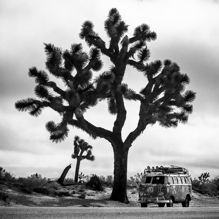 The Joshua Tree and the Rustybus Photograph by Richard Kimbrough
