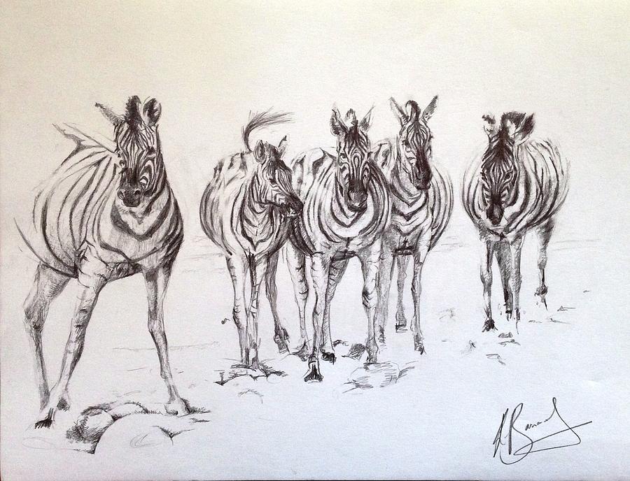 Zebra Drawing - The Journey by Kathleen Barnard