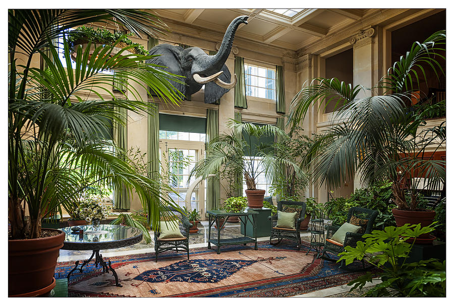 The Jungle Room at Eastman House Photograph by Gary Warnimont