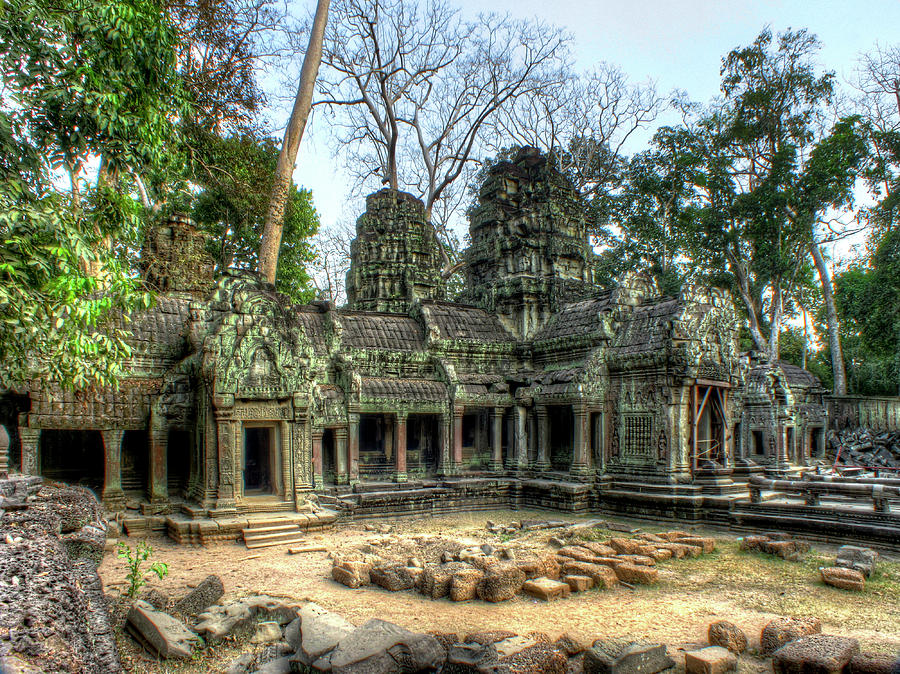 The Jungle  Temple  Photograph by Douglas J Fisher