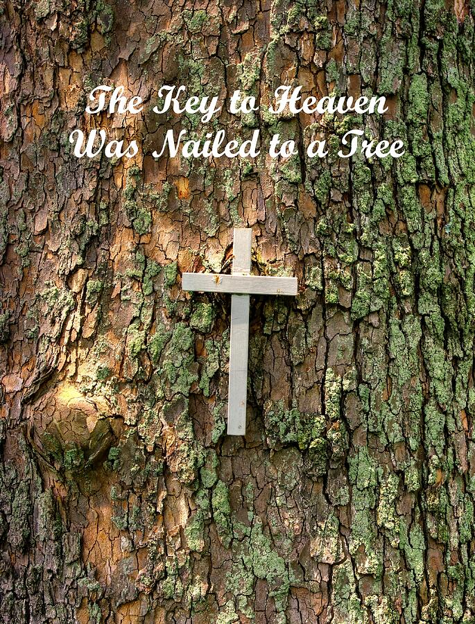 The Key to Heaven Was Nailed to a Tree - Based on Isaiah 53.5 and Deuteronomy 21.22 Photograph by Michael Mazaika