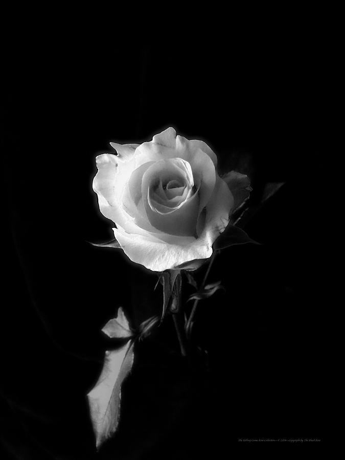 The Killing Game Rose 5 Photograph by The Black Rose | Fine Art America