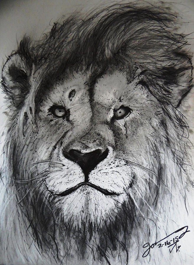 The King Lion Drawing