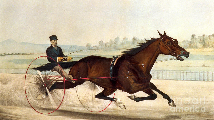 Currier And Ives Painting - The King of the Turf by Currier And Ives