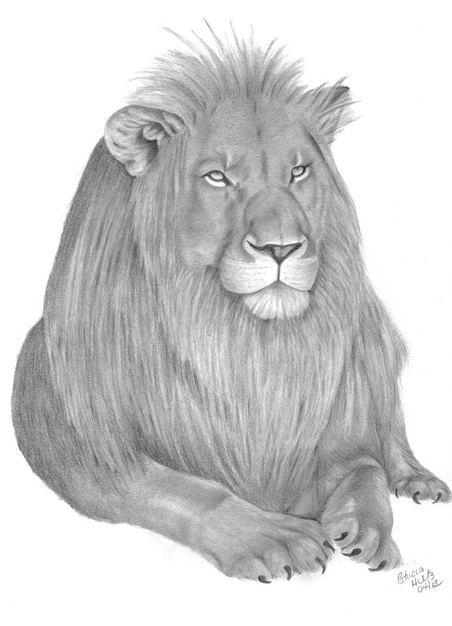 The King Drawing by Patricia Hiltz