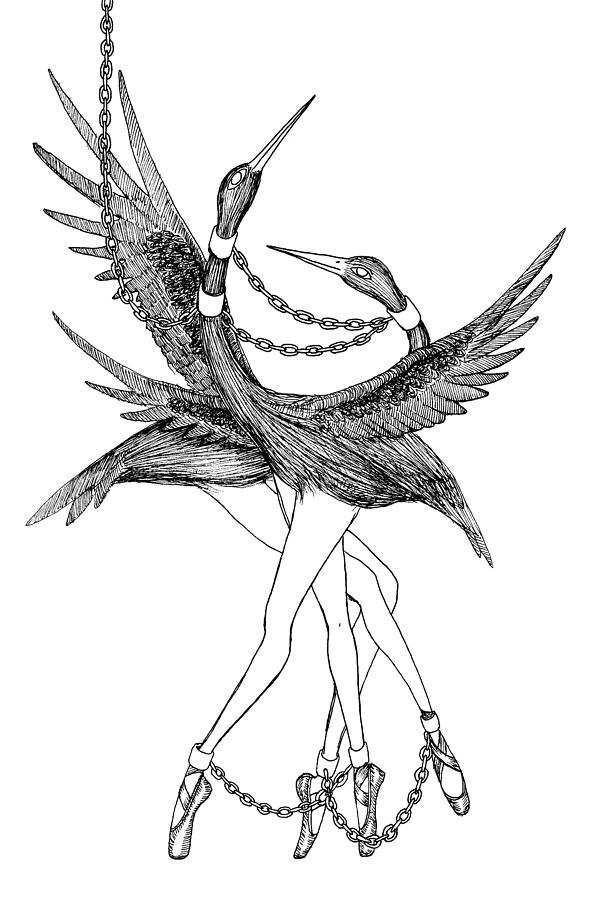 Bird Drawing - The Kings Dancers by Iris Moore