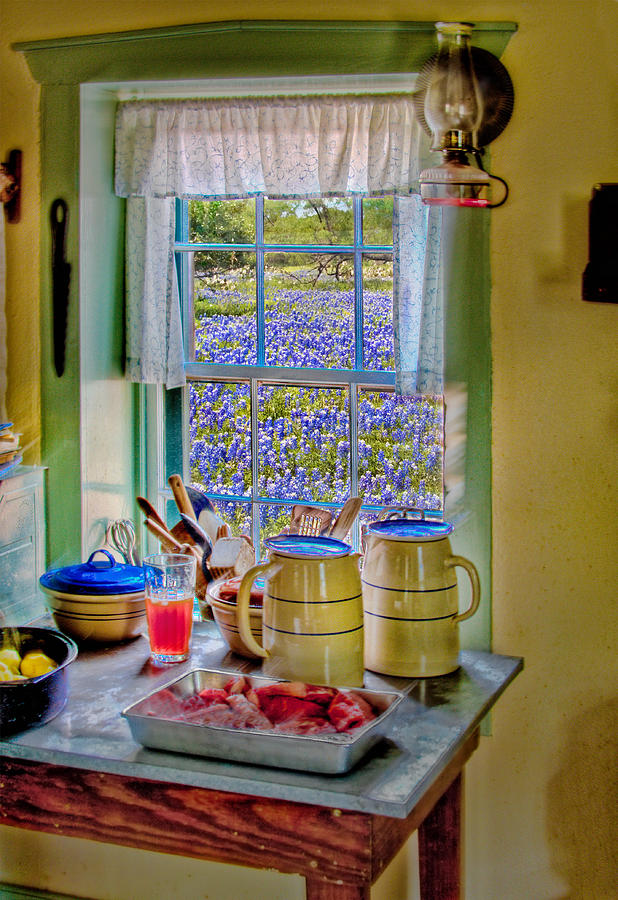The Kitchen Window Photograph by David and Carol Kelly