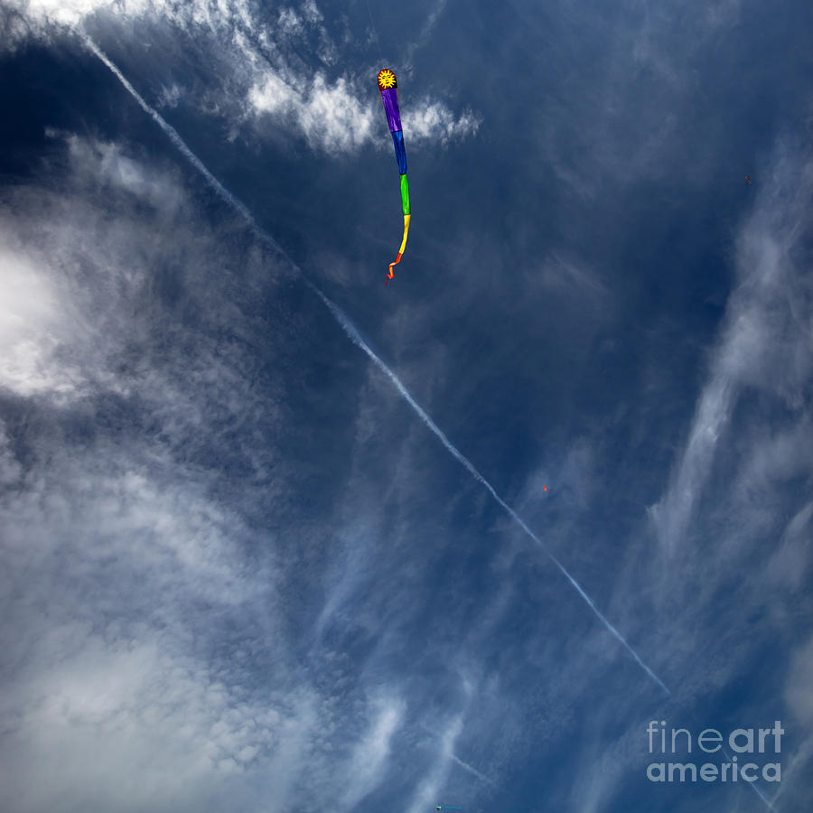 The Kite On Blue Sky Photograph by Ang El