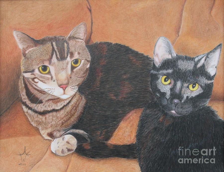 Cat Drawing - The Kitty Duo by Ambre Wallitsch