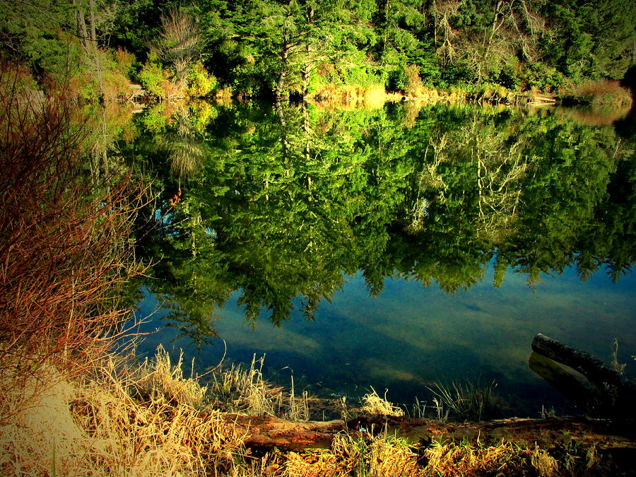 The Lake At Fort Stevens Photograph by Joyce Dickens