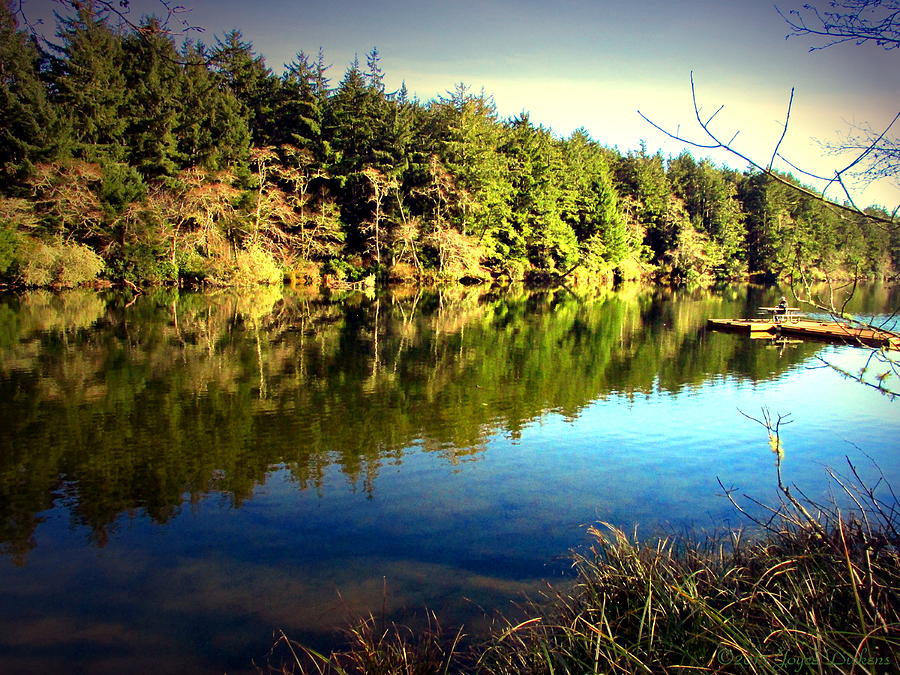 The Lake At Fort Stevens Two Photograph by Joyce Dickens