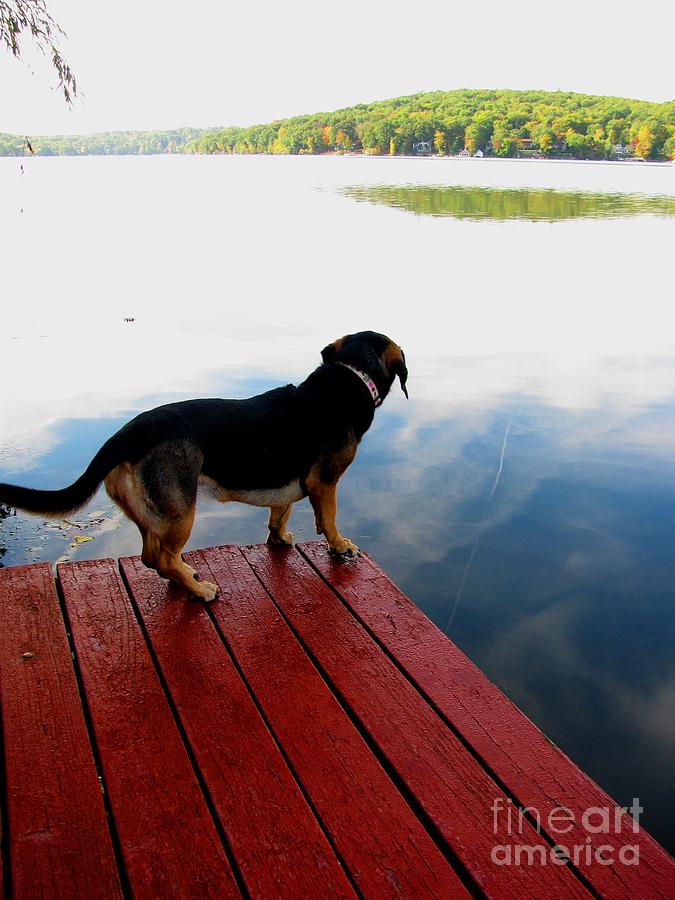 The lake PHOTO Painting by Grace Liberator - Fine Art America