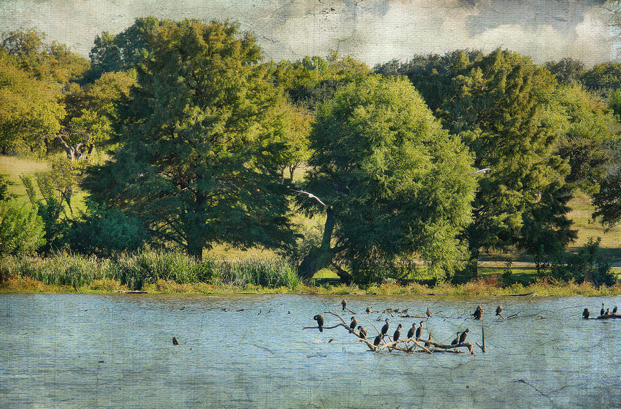 The Lake Photograph by Joan Bertucci