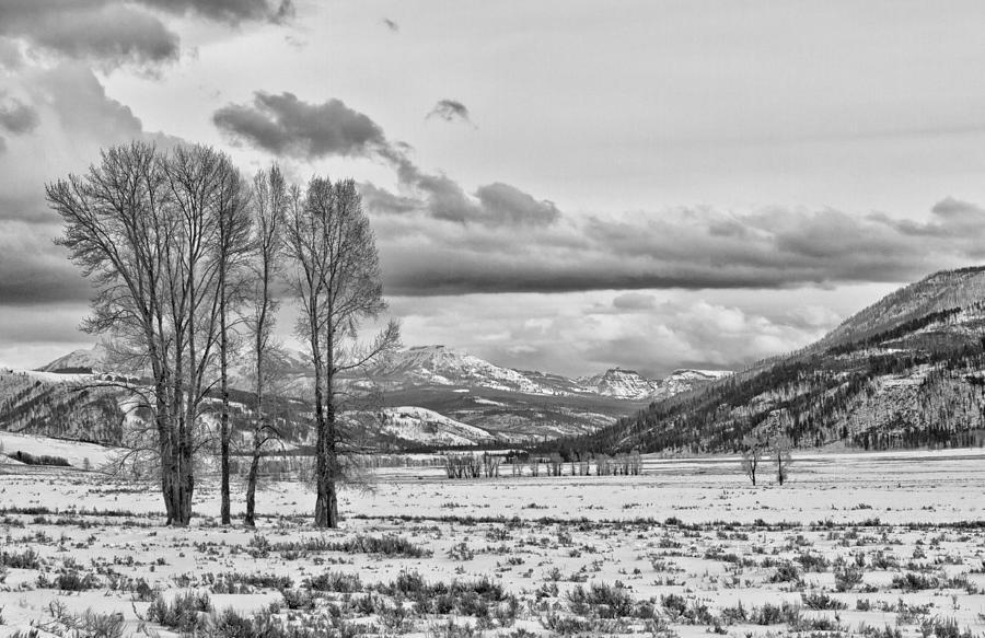 The Lamar Valley Photograph by Jared Perry 
