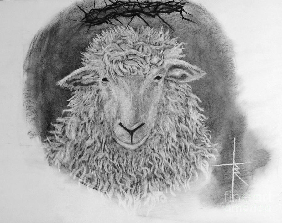 The Lamb Of God Drawing by Travis Ricks