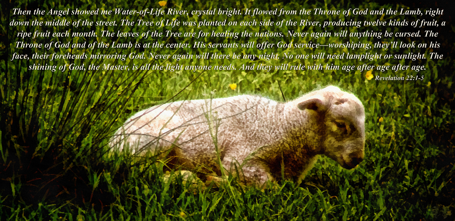 The Lamb Revelation 22 Mixed Media by Angelina Tamez