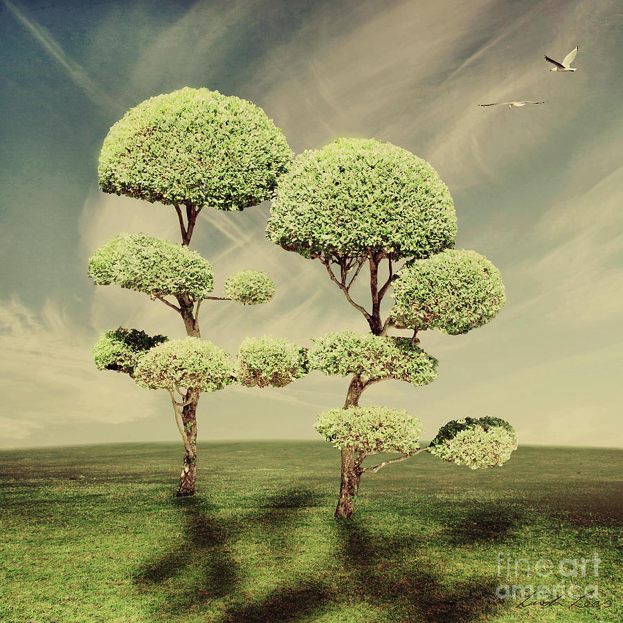 Tree Digital Art - The Land of the Lollipop Trees by Linda Lees