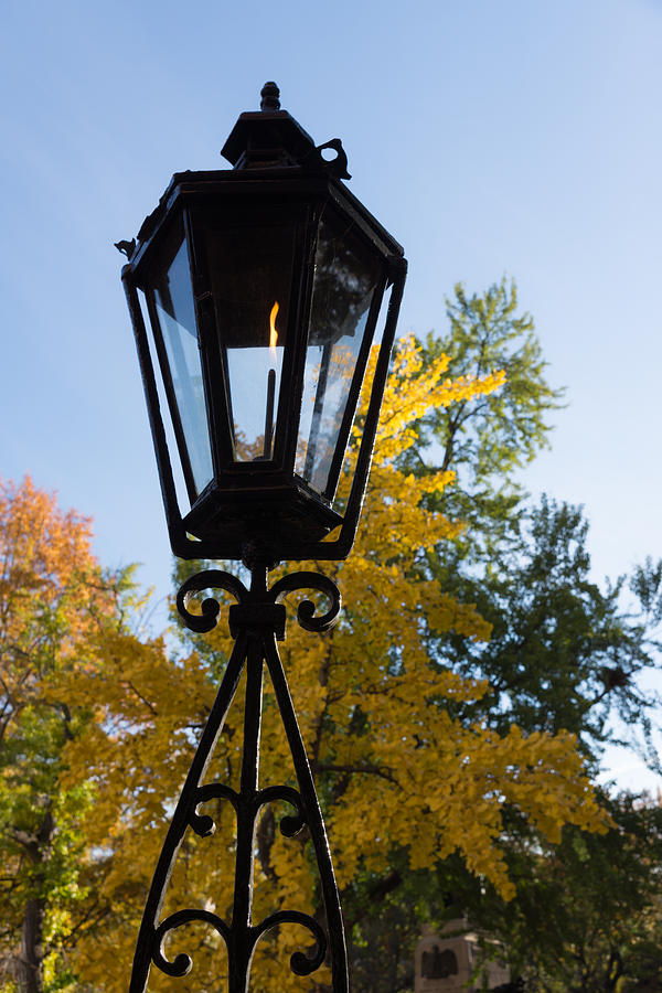 The Lantern and the Ginkgo - Retro Autumn Mood Photograph by Georgia Mizuleva