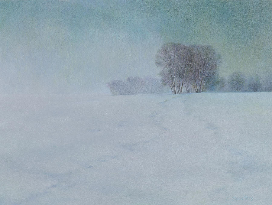 The Last Snow Drawing by Lynn Bywaters