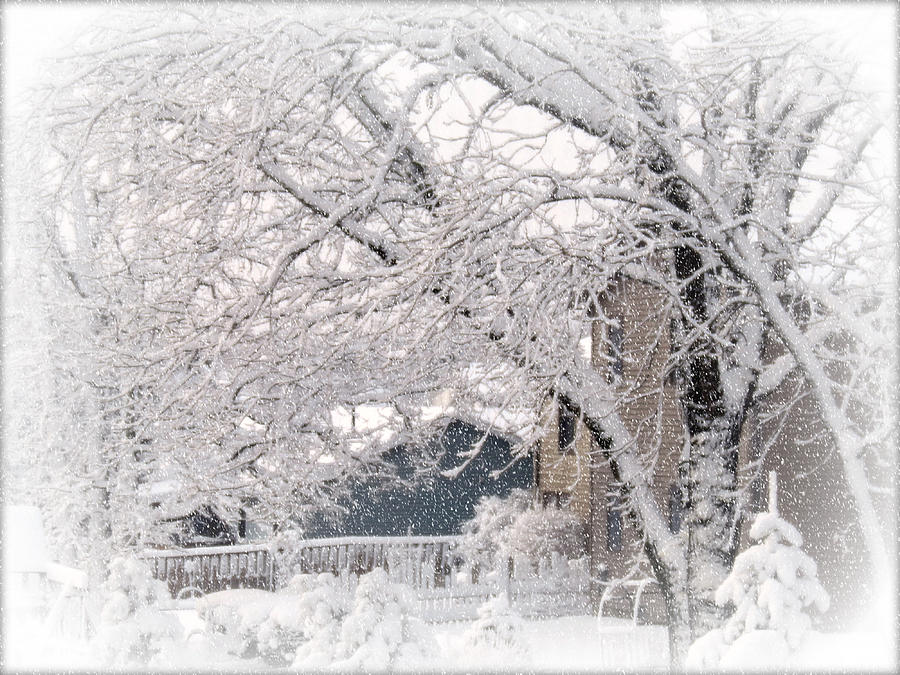 Winter Photograph - The Last Snow Storm by Kay Novy