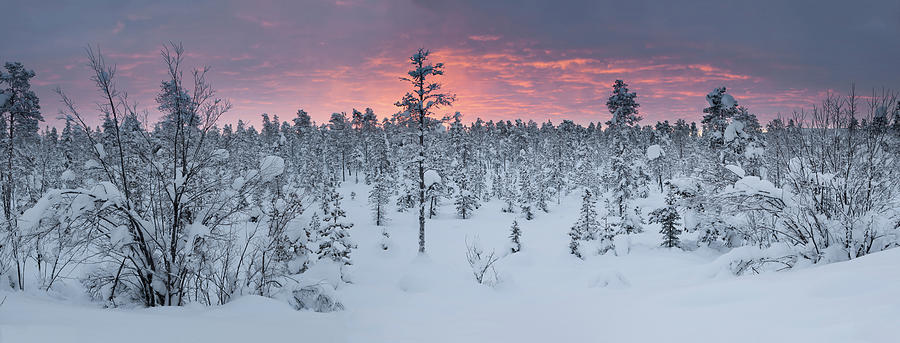 The Last Sunrise In Kiruna Photograph by Getty Images The Last Sunrise In Kiruna Photograph by Getty Images