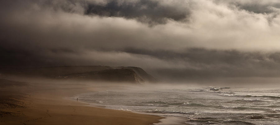 Beach Photograph - The survivor by Jorge Maia