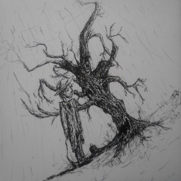 Tree Photograph - The Last Two Drawings Were Small Funny by Gabriel Alfonso Aguilar