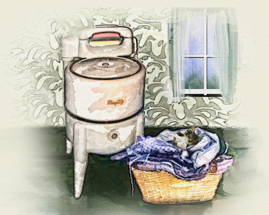 Summer Digital Art - The Laundry Room by Mary Almond