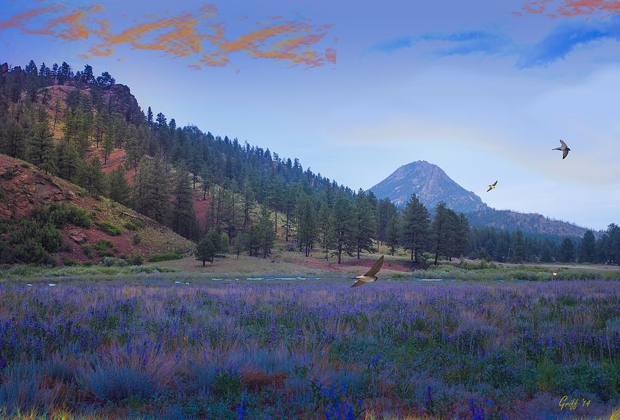 South Platte River Digital Art - The Lavender Field by J Griff Griffin