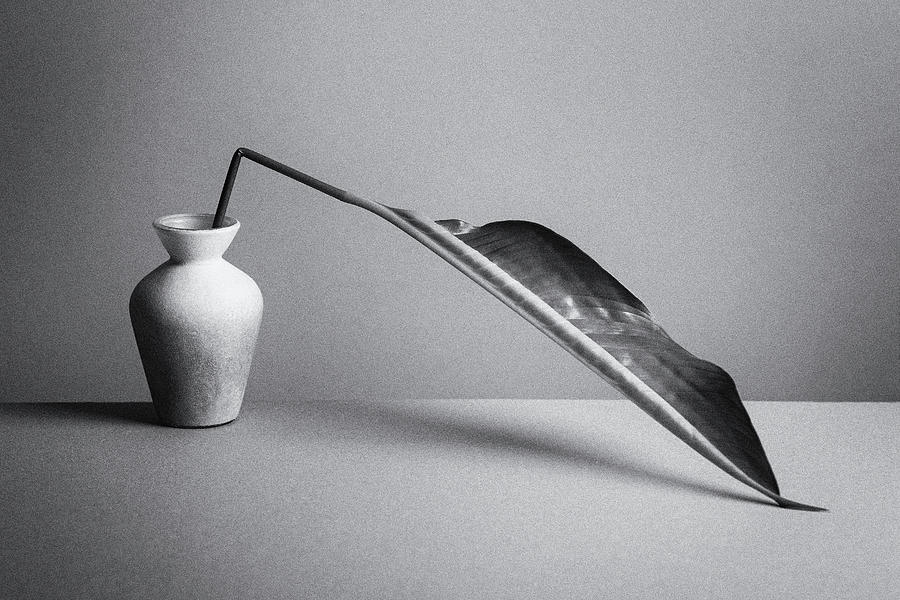 Black And White Photograph - The Leaf by Kristina Oveckova